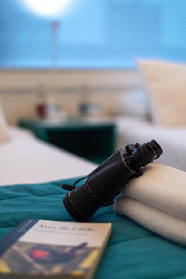 Hostal Boutique Terra Antarctica Punta Arenas Eksteriør bilde